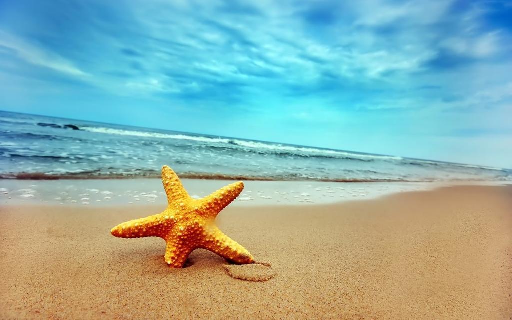 Home D'Or Cala D´Or 외부 사진